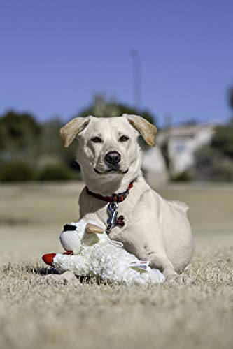 Multipet INTERNATIONAL 843140 Lambchop Plush Squeak Toy Mini for Pets, 6-Inch, White, small