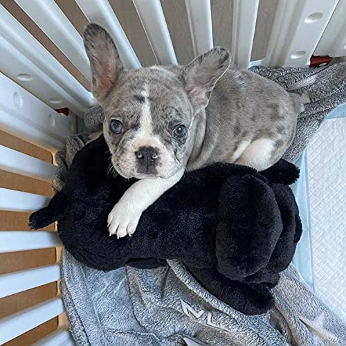 Original Snuggle Puppy Heartbeat Stuffed Toy for Dogs. Pet Anxiety Relief and Calming Aid, Comfort Toy for Behavioral Training in Biscuit