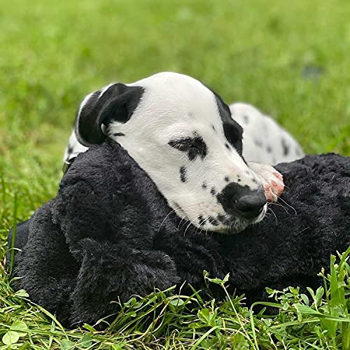 Original Snuggle Puppy Heartbeat Stuffed Toy for Dogs. Pet Anxiety Relief and Calming Aid, Comfort Toy for Behavioral Training in Biscuit