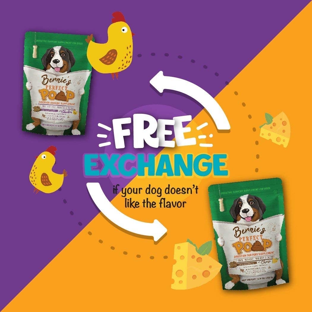 Perfect Poop Digestion & General Health Supplement for Dogs: Fiber, Prebiotics, Probiotics & Enzymes Relieve Digestive Conditions, Optimize Stool, and Improve Health (Cheddar Cheese, 4.2 oz)