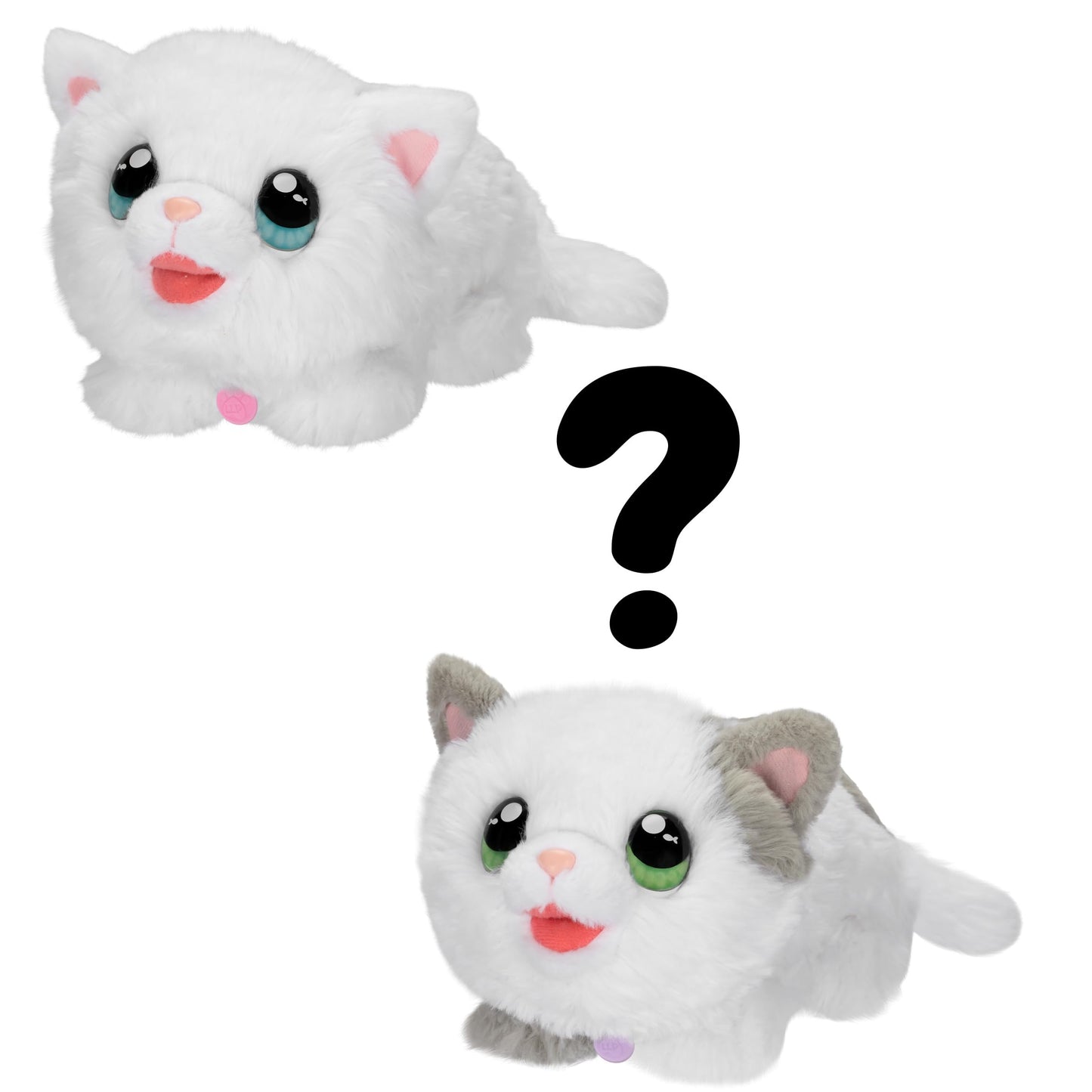 Little Live Pets My Kitty's Home | Interactive Plush Toy Kitten & House, Surprise Reveal with 25+ Sounds & Reactions. Build Kitty's Home - Easy Build DIY Home, Batteries Included. for Kids Ages 5+