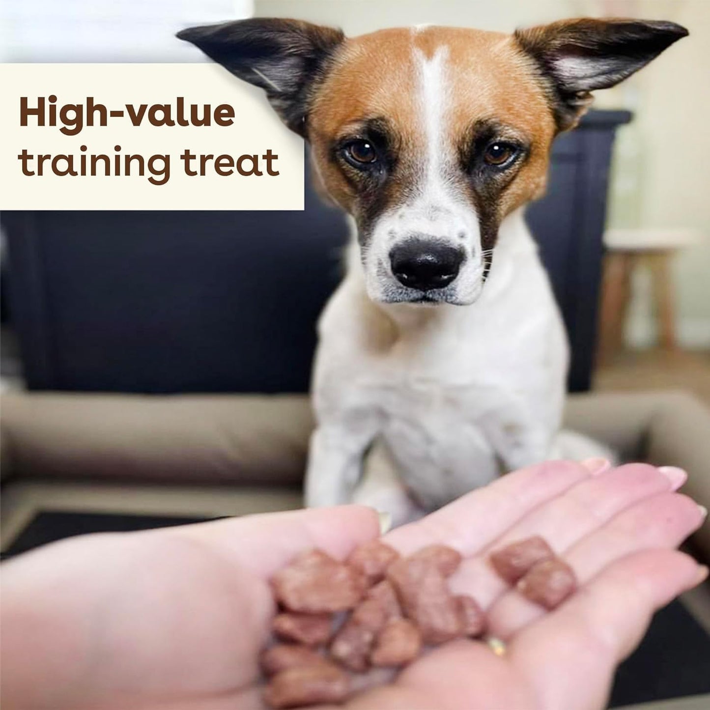 Pupford Freeze Dried Training Treats for Dogs & Puppies, 475+ Two Ingredient Bites (Chicken, 4 oz)