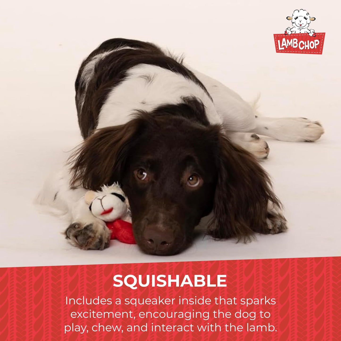 Multipet INTERNATIONAL 843140 Lambchop Plush Squeak Toy Mini for Pets, 6-Inch, White, small