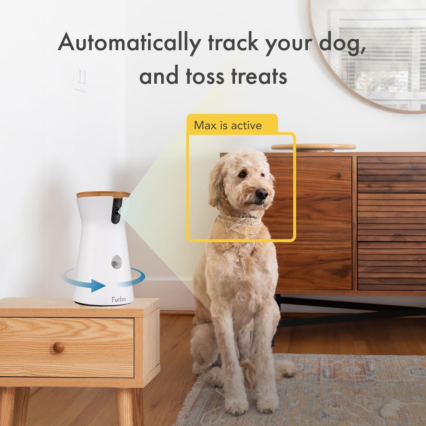 Furbo 360° Cat Camera + Nanny Bundle: Home Security & Cat Safety Alerts, Rotating Pet Treat Dispenser Camera with Speaker, Smart Home Indoor Cam w Phone App (Additional Subscription Required at Setup)
