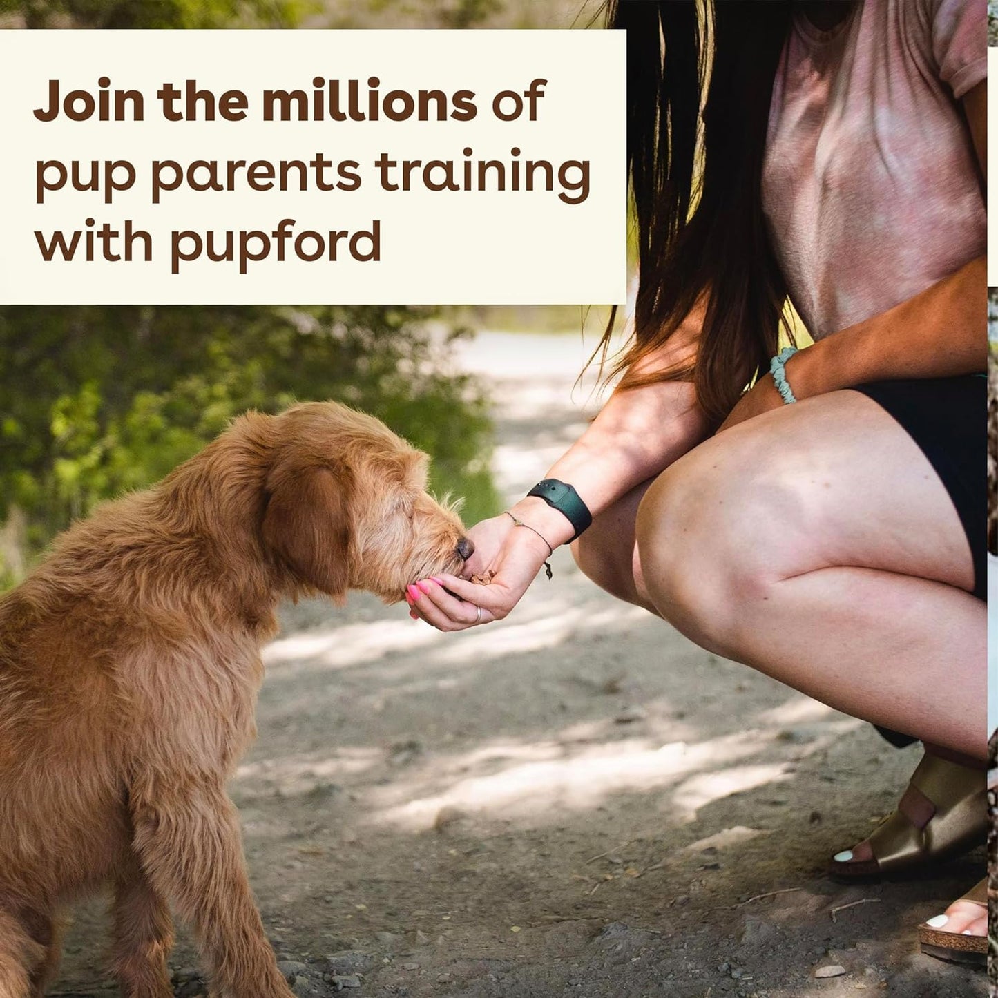 Pupford Freeze Dried Training Treats for Dogs & Puppies, 475+ Two Ingredient Bites (Chicken, 4 oz)