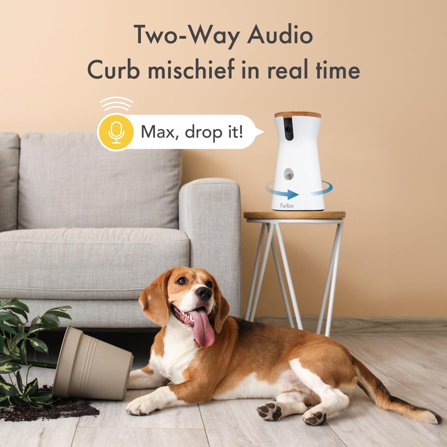 Furbo 360° Cat Camera + Nanny Bundle: Home Security & Cat Safety Alerts, Rotating Pet Treat Dispenser Camera with Speaker, Smart Home Indoor Cam w Phone App (Additional Subscription Required at Setup)