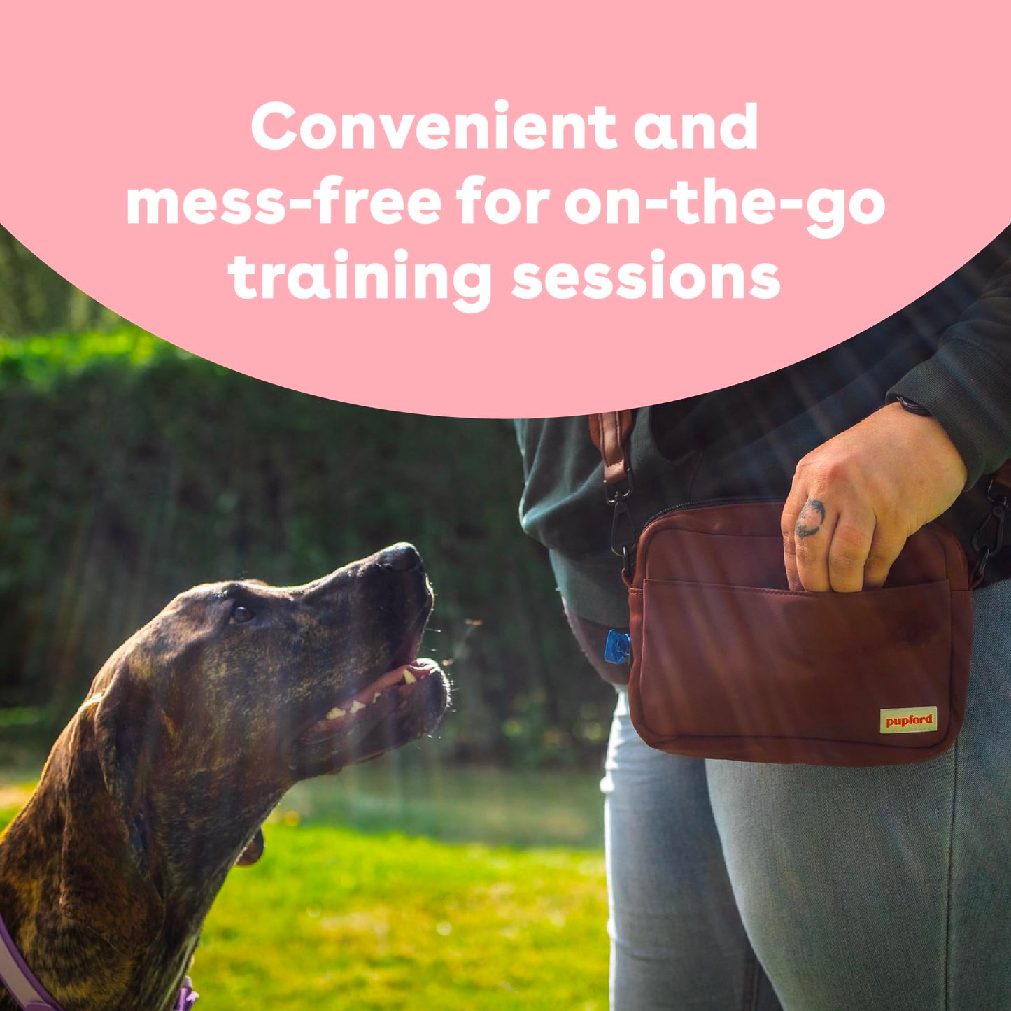 Pupford Freeze Dried Training Treats for Dogs & Puppies, 475+ Two Ingredient Bites (Chicken, 4 oz)