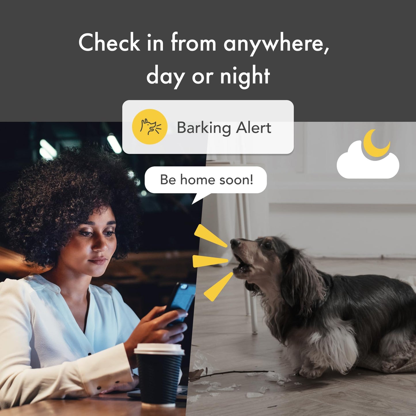 Furbo 360° Cat Camera + Nanny Bundle: Home Security & Cat Safety Alerts, Rotating Pet Treat Dispenser Camera with Speaker, Smart Home Indoor Cam w Phone App (Additional Subscription Required at Setup)