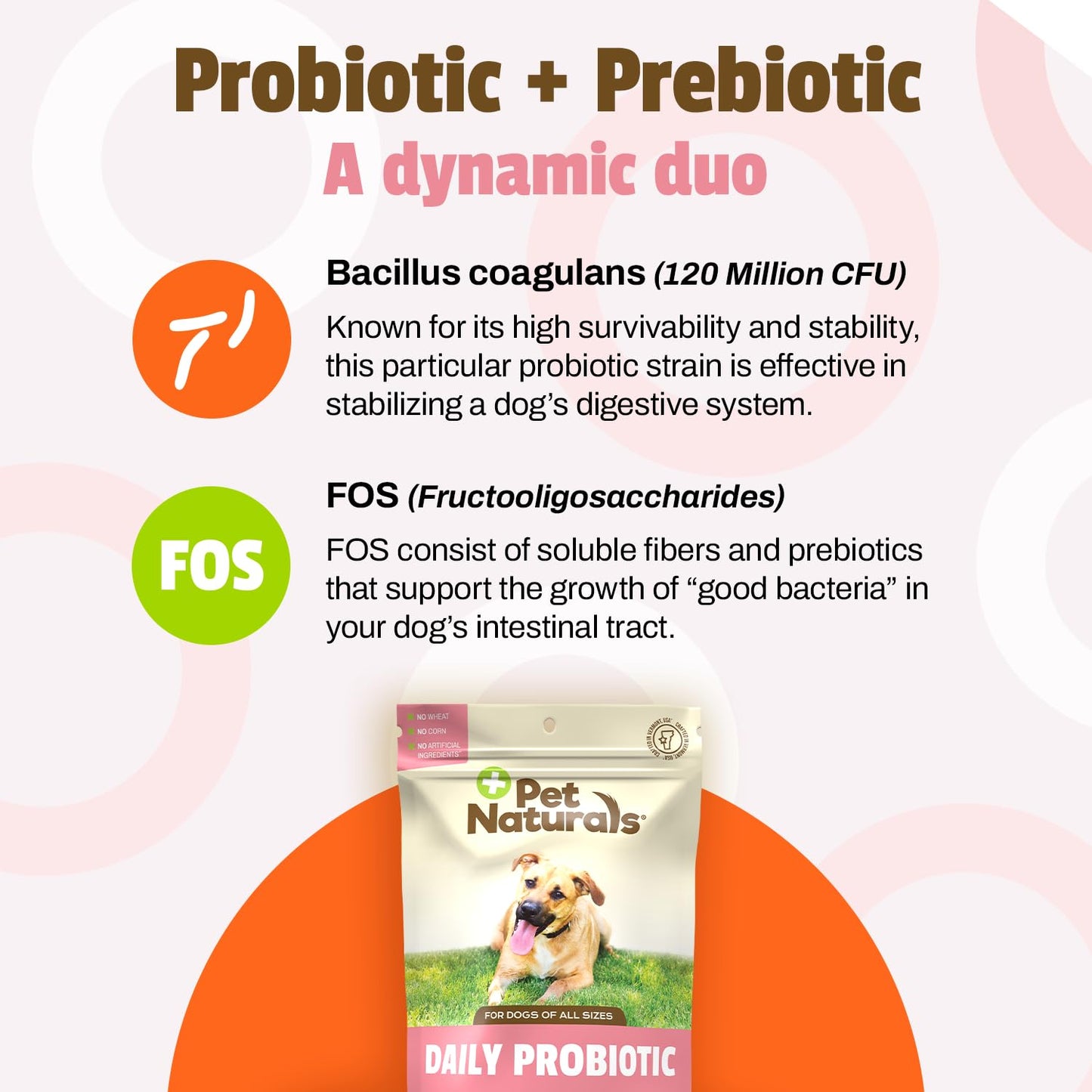 Pet Naturals Daily Probiotic for Dogs, 120M CFUs - Pre and Probiotics for Dogs Digestive Health, Gut Health, Immune Support, Diarrhea, Allergies and Itching - 60 Chews, Duck Flavor
