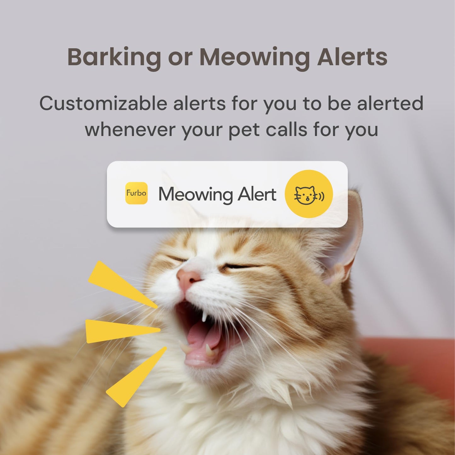 Furbo 360° Cat Camera + Nanny Bundle: Home Security & Cat Safety Alerts, Rotating Pet Treat Dispenser Camera with Speaker, Smart Home Indoor Cam w Phone App (Additional Subscription Required at Setup)