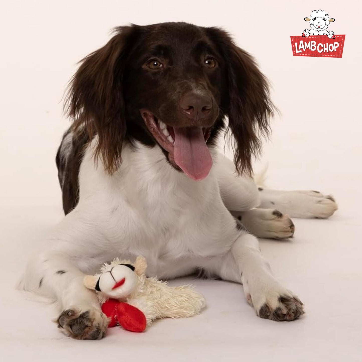 Multipet INTERNATIONAL 843140 Lambchop Plush Squeak Toy Mini for Pets, 6-Inch, White, small