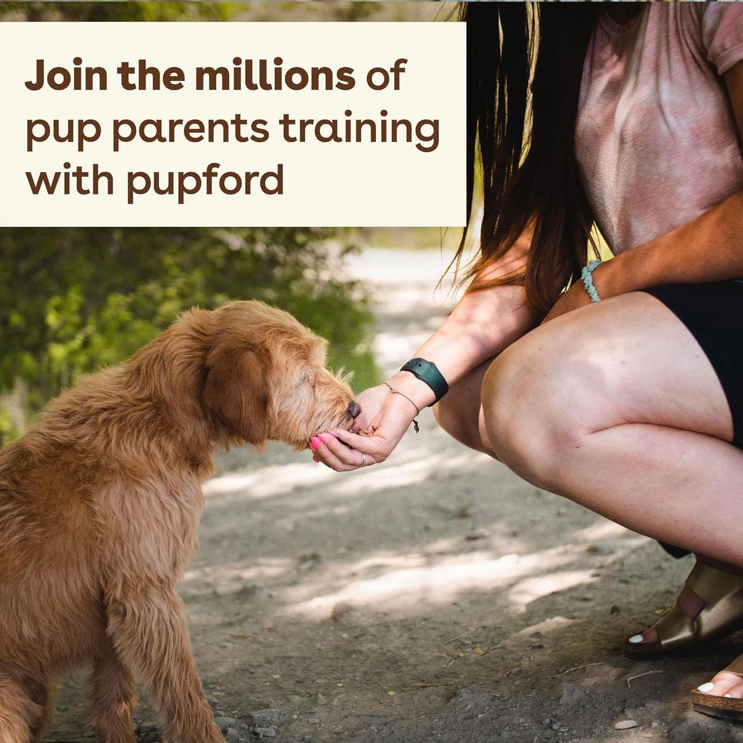 Pupford Freeze Dried Training Treats for Dogs & Puppies, 475+ Two Ingredient Bites (Chicken, 4 oz)