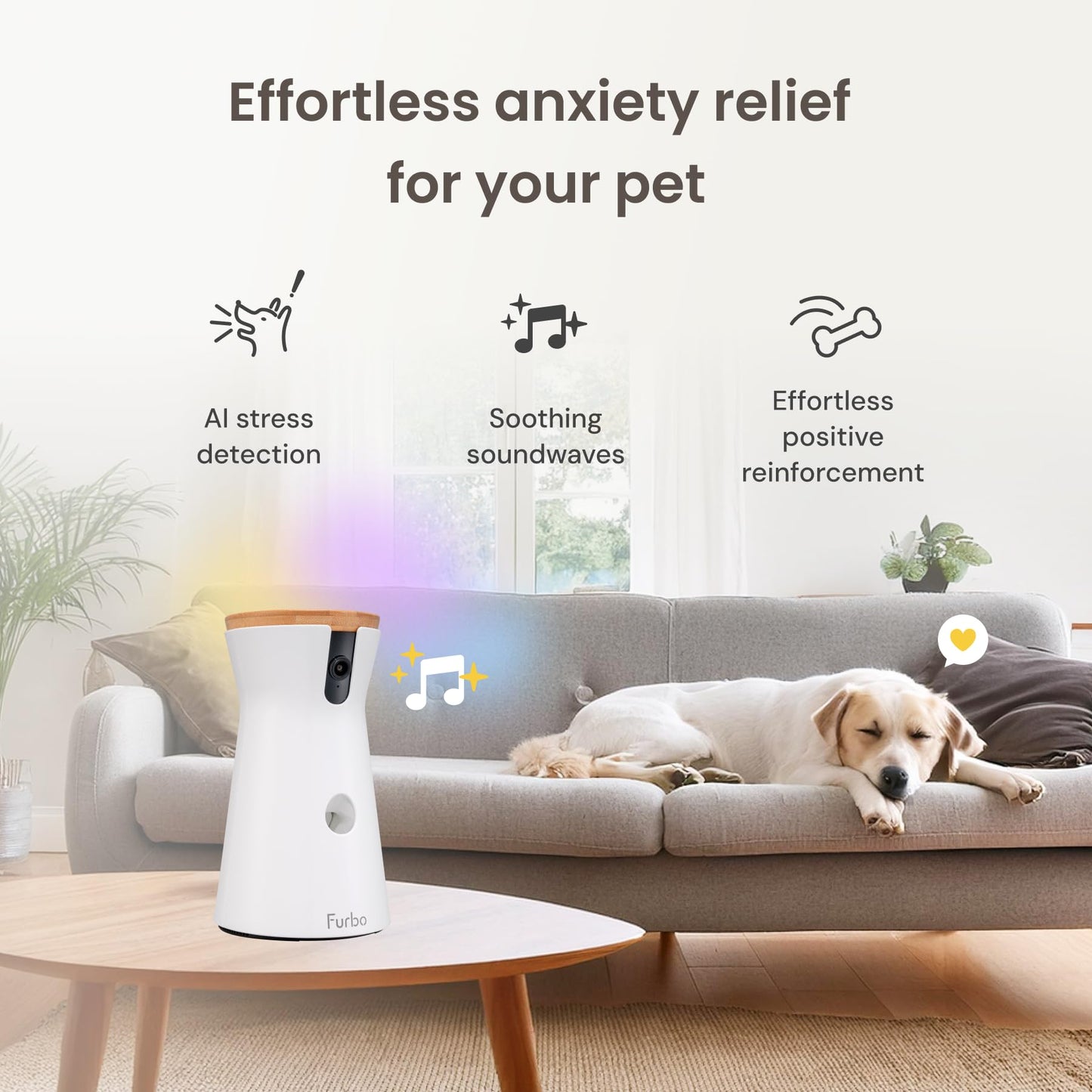 Furbo 360° Cat Camera + Nanny Bundle: Home Security & Cat Safety Alerts, Rotating Pet Treat Dispenser Camera with Speaker, Smart Home Indoor Cam w Phone App (Additional Subscription Required at Setup)