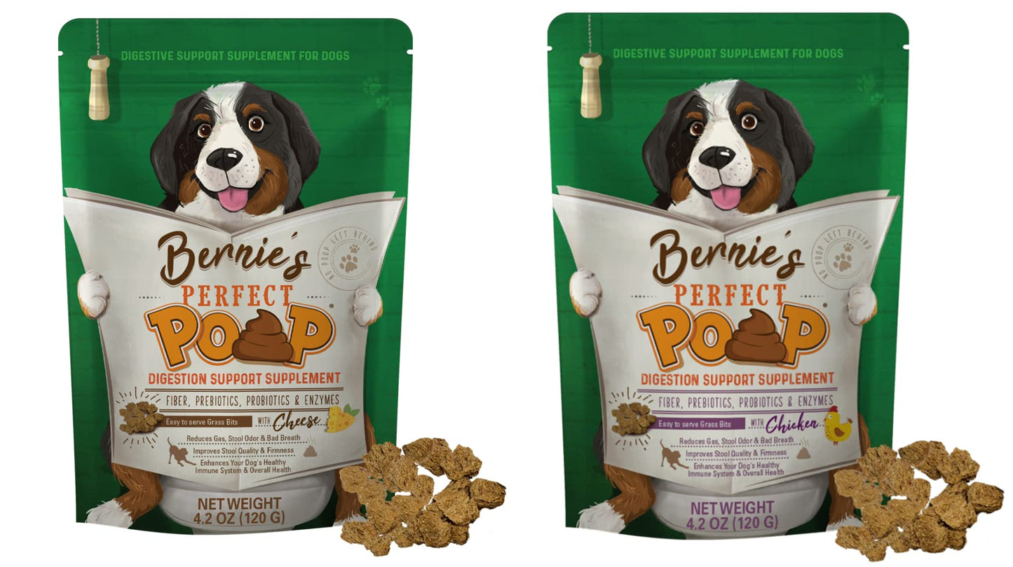 Perfect Poop Digestion & General Health Supplement for Dogs: Fiber, Prebiotics, Probiotics & Enzymes Relieve Digestive Conditions, Optimize Stool, and Improve Health (Cheddar Cheese, 4.2 oz)