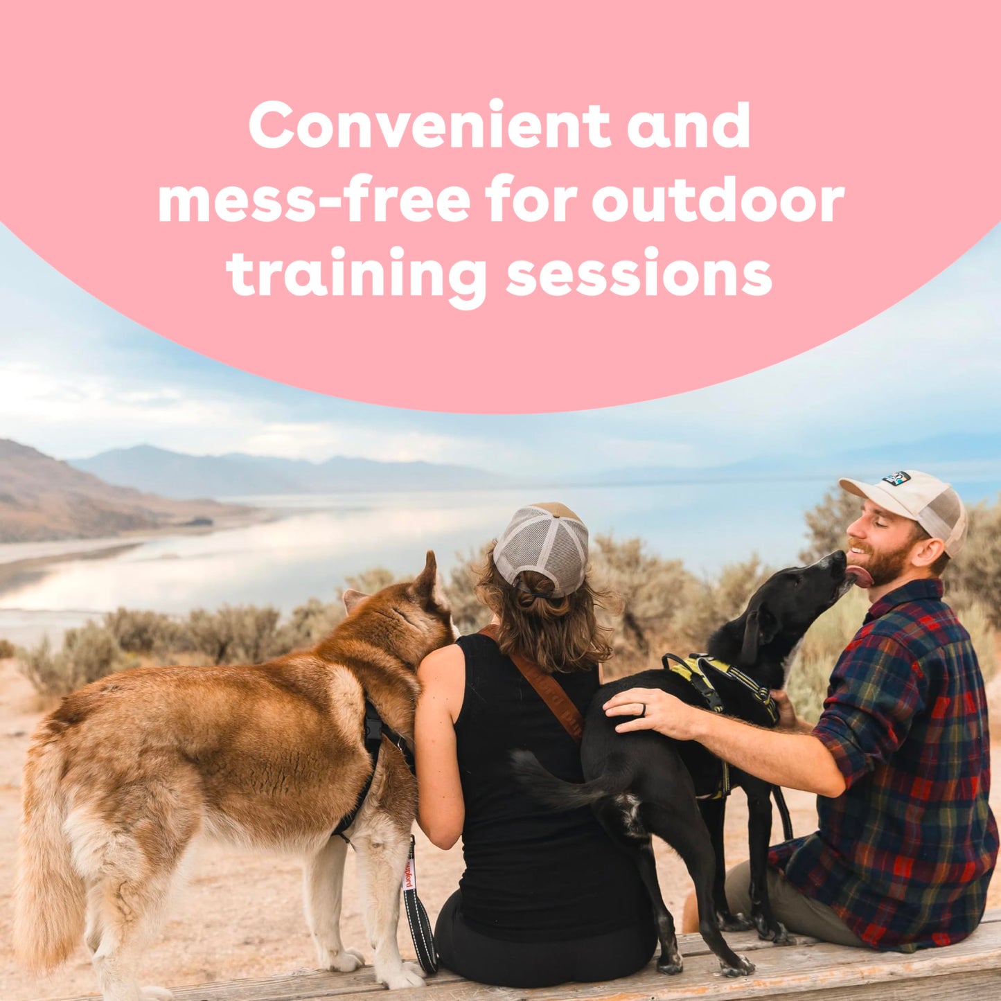 Pupford Freeze Dried Training Treats for Dogs & Puppies, 475+ Two Ingredient Bites (Chicken, 4 oz)