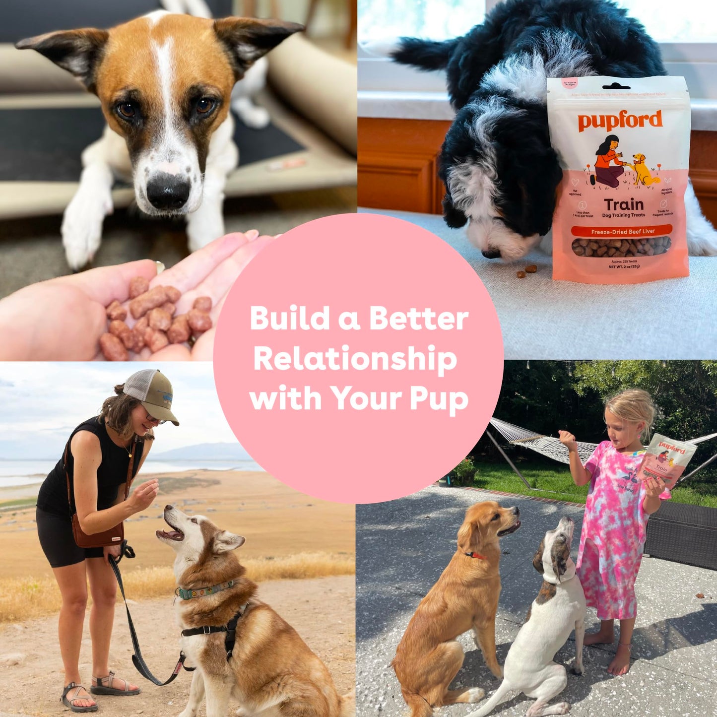 Pupford Freeze Dried Training Treats for Dogs & Puppies, 475+ Two Ingredient Bites (Chicken, 4 oz)