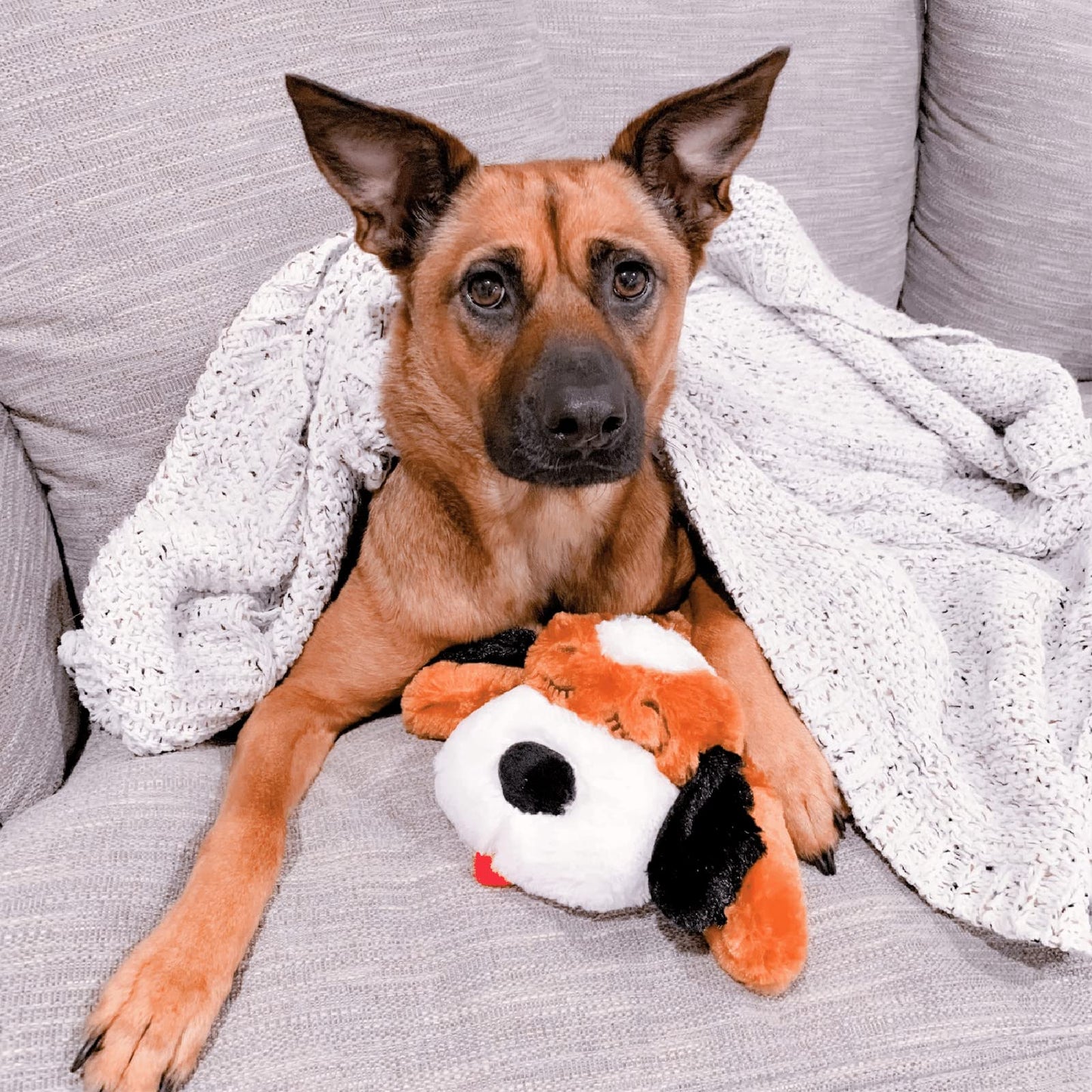 Original Snuggle Puppy Heartbeat Stuffed Toy for Dogs. Pet Anxiety Relief and Calming Aid, Comfort Toy for Behavioral Training in Biscuit
