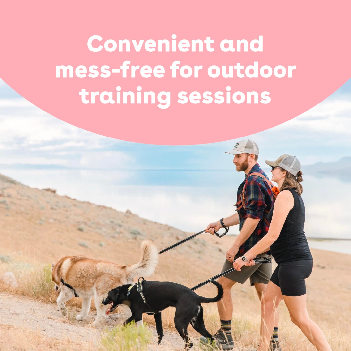 Pupford Freeze Dried Training Treats for Dogs & Puppies, 475+ Two Ingredient Bites (Chicken, 4 oz)