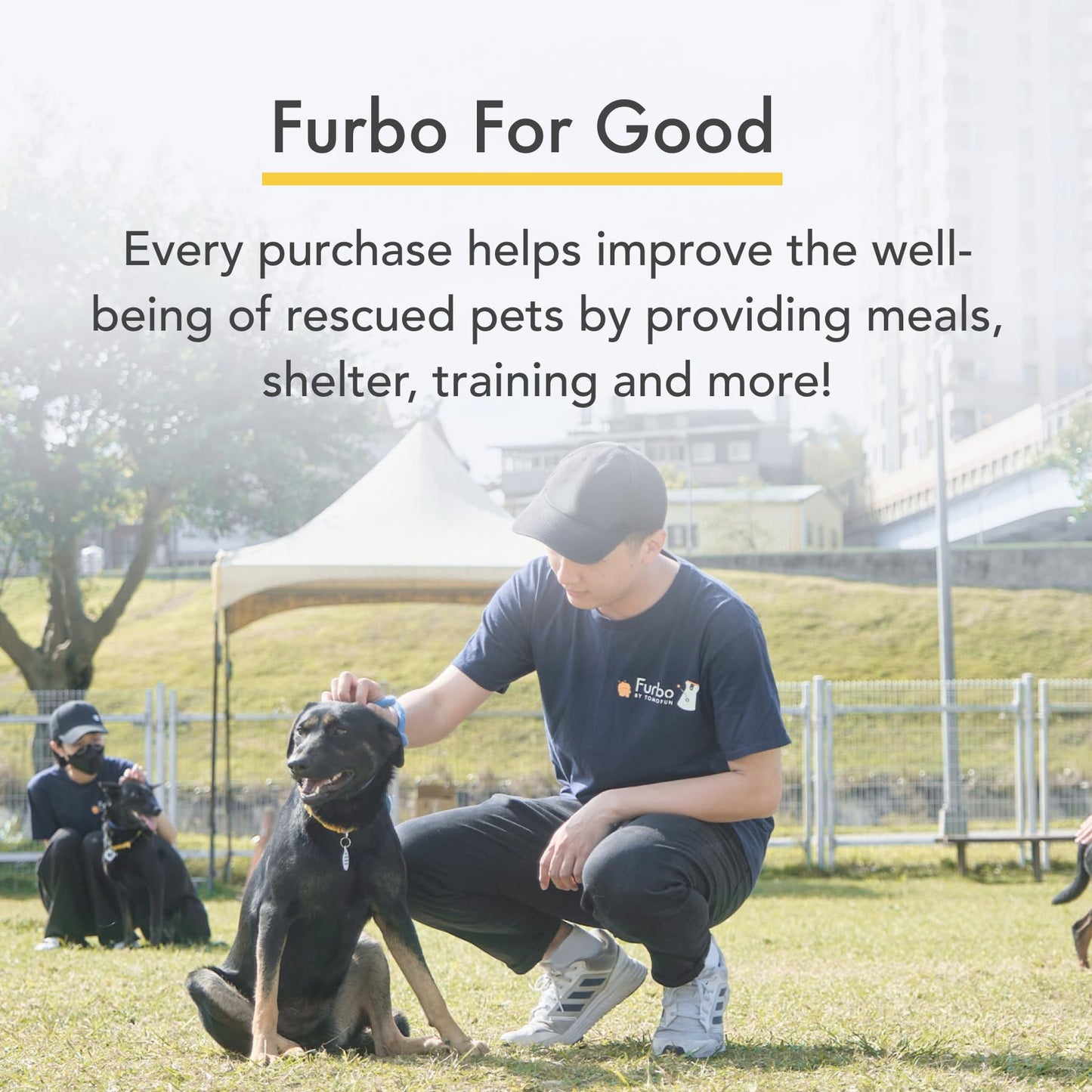 Furbo 360° Cat Camera + Nanny Bundle: Home Security & Cat Safety Alerts, Rotating Pet Treat Dispenser Camera with Speaker, Smart Home Indoor Cam w Phone App (Additional Subscription Required at Setup)