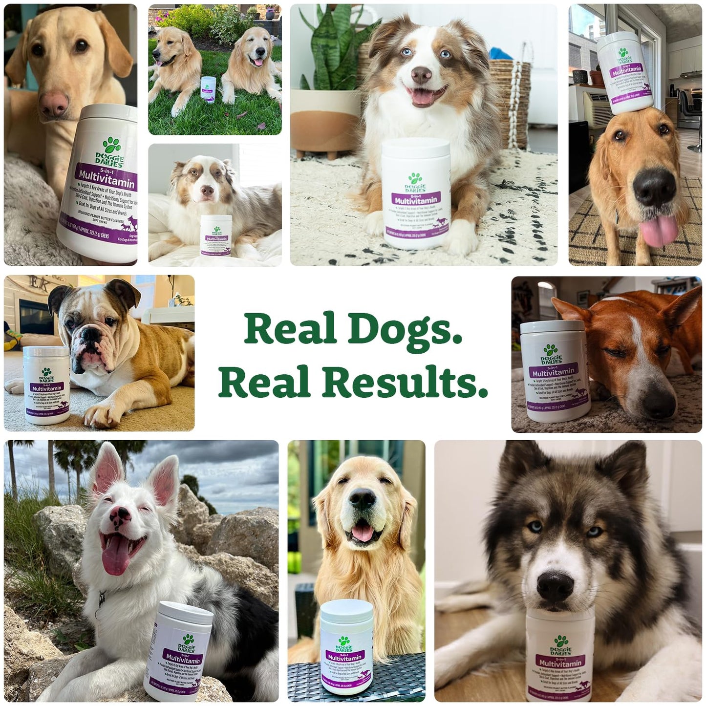 Doggie Dailies 5 in 1 Multivitamin for Dogs, 225 Soft Chews, Dog Multivitamin for Skin and Coat Health, Joint Health, Improved Digestion, Antioxidants, Support a Healthy Immune System