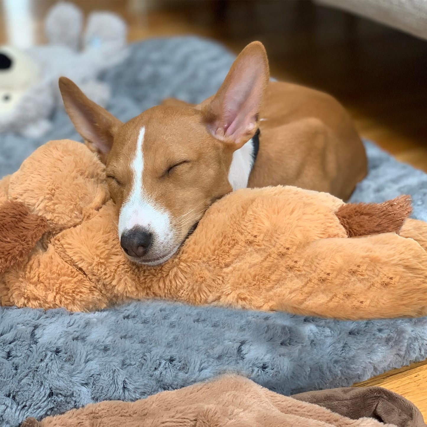 Original Snuggle Puppy Heartbeat Stuffed Toy for Dogs. Pet Anxiety Relief and Calming Aid, Comfort Toy for Behavioral Training in Biscuit