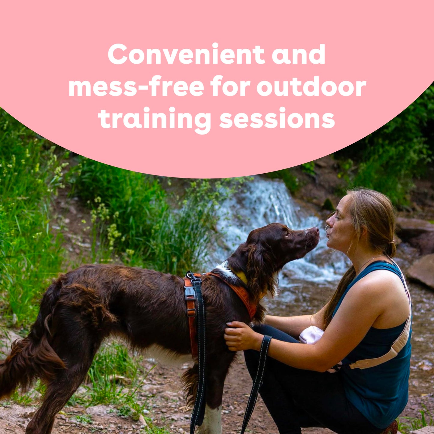 Pupford Freeze Dried Training Treats for Dogs & Puppies, 475+ Two Ingredient Bites (Chicken, 4 oz)