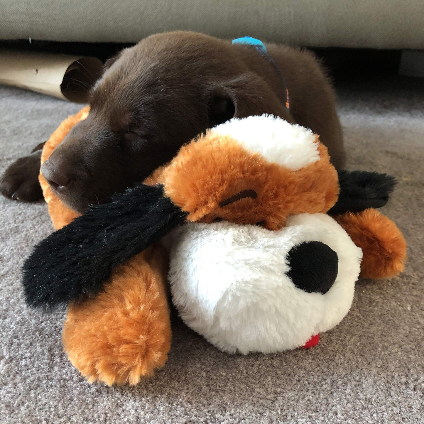 Original Snuggle Puppy Heartbeat Stuffed Toy for Dogs. Pet Anxiety Relief and Calming Aid, Comfort Toy for Behavioral Training in Biscuit