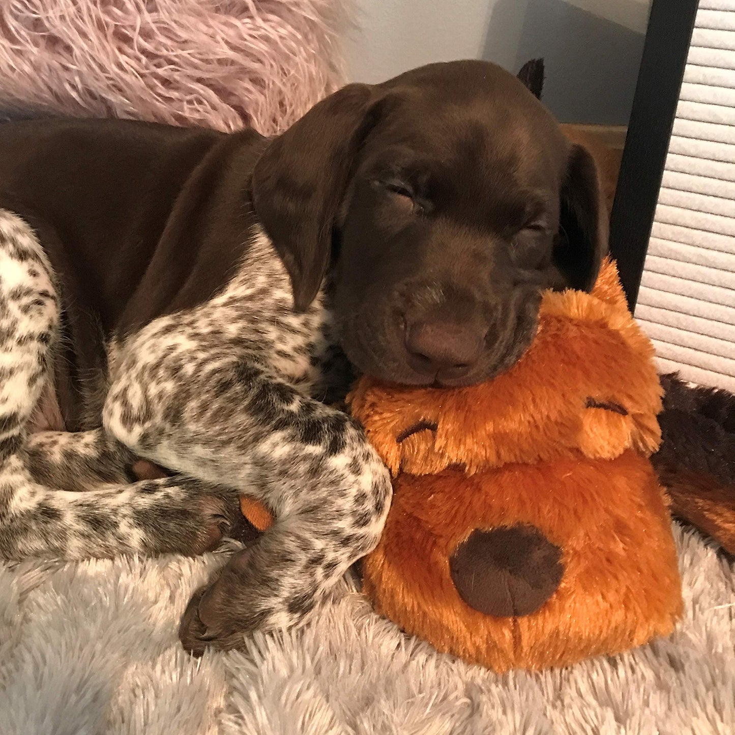 Original Snuggle Puppy Heartbeat Stuffed Toy for Dogs. Pet Anxiety Relief and Calming Aid, Comfort Toy for Behavioral Training in Biscuit