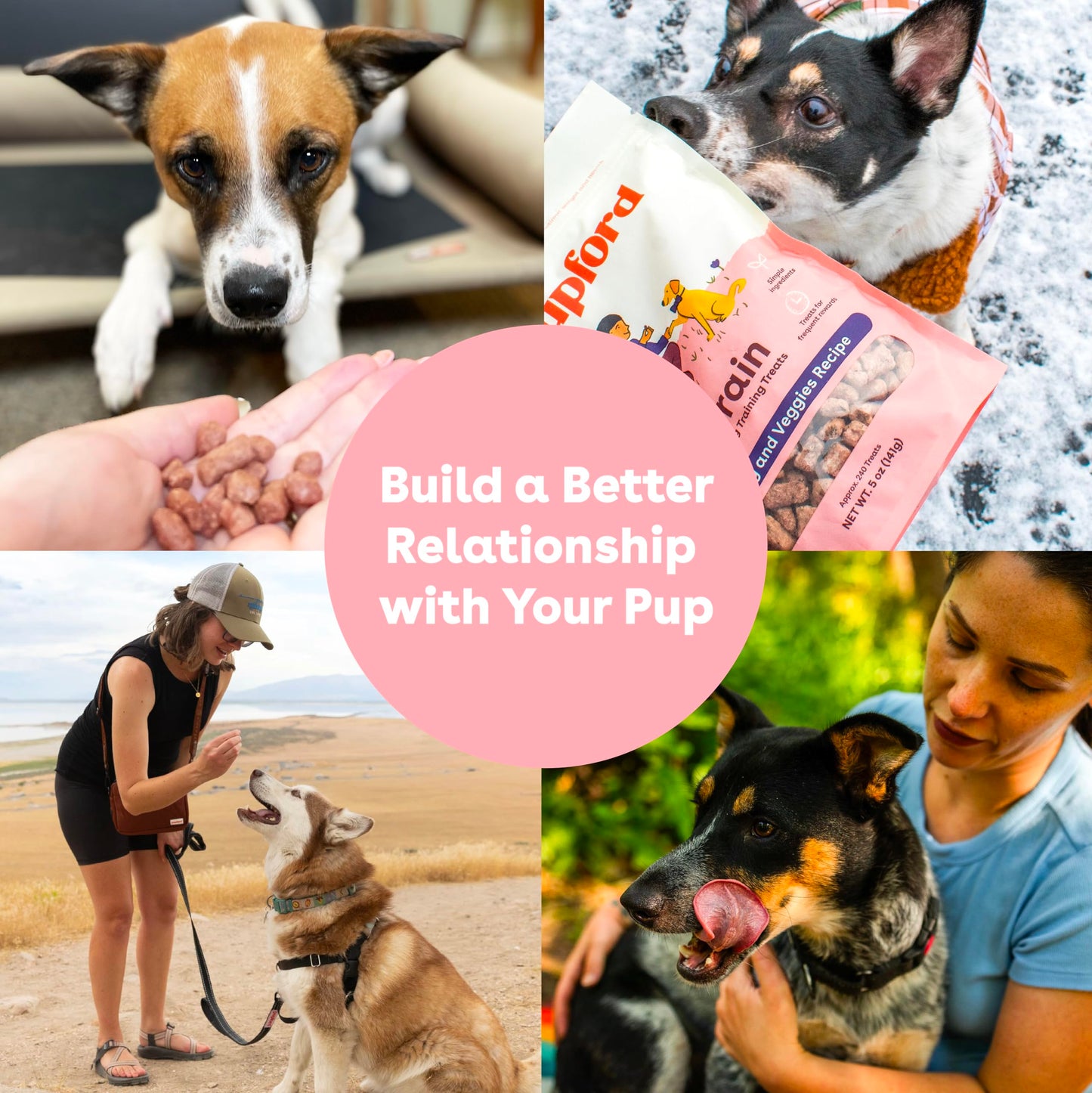 Pupford Freeze Dried Training Treats for Dogs & Puppies, 475+ Two Ingredient Bites (Chicken, 4 oz)