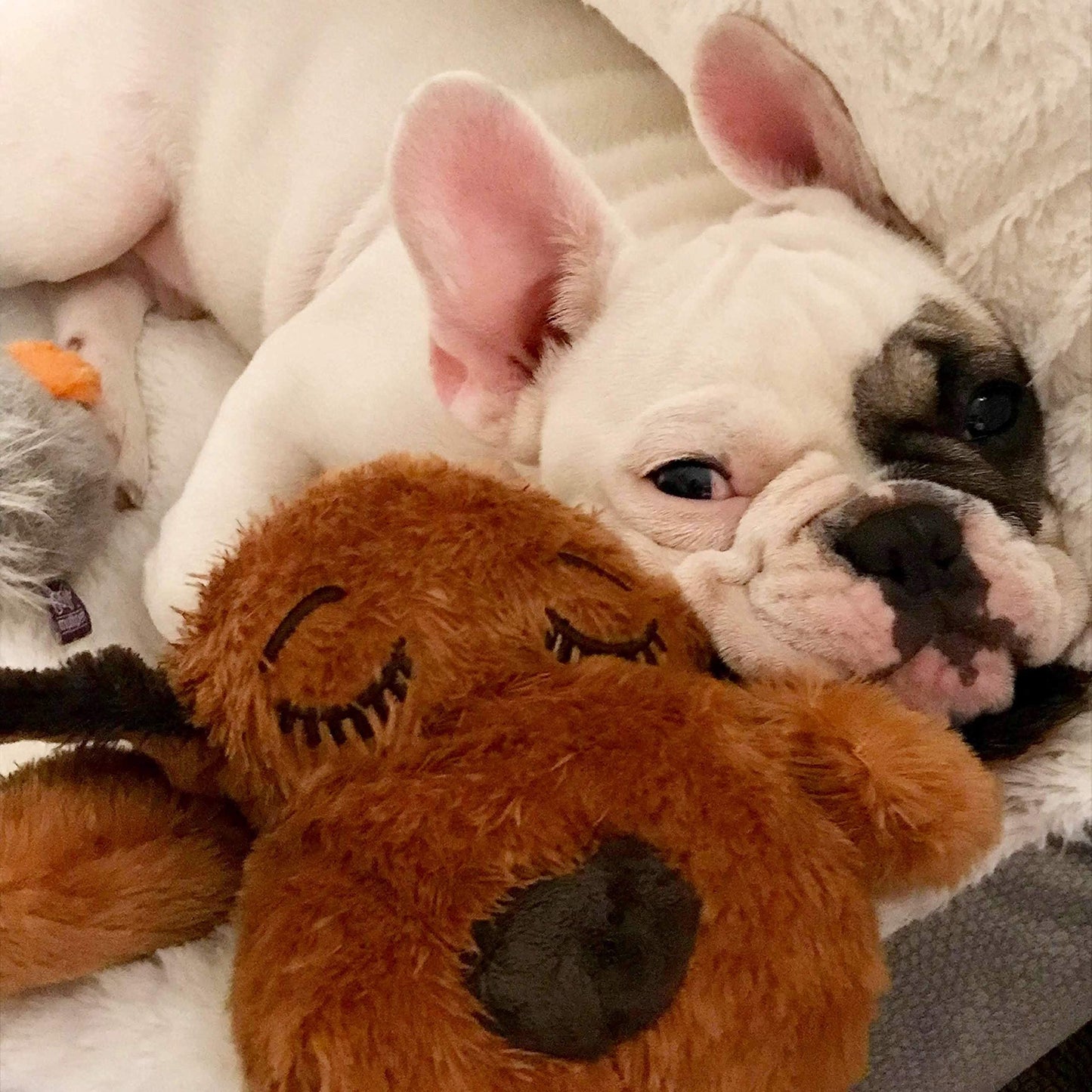 Original Snuggle Puppy Heartbeat Stuffed Toy for Dogs. Pet Anxiety Relief and Calming Aid, Comfort Toy for Behavioral Training in Biscuit